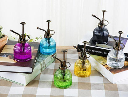 Vibrant Plant Spray Bottle