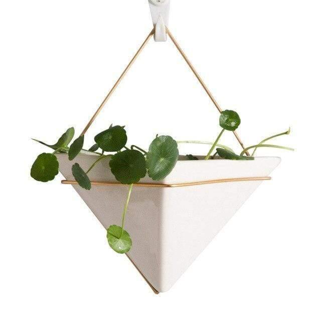 Hanging Geometric Terrarium