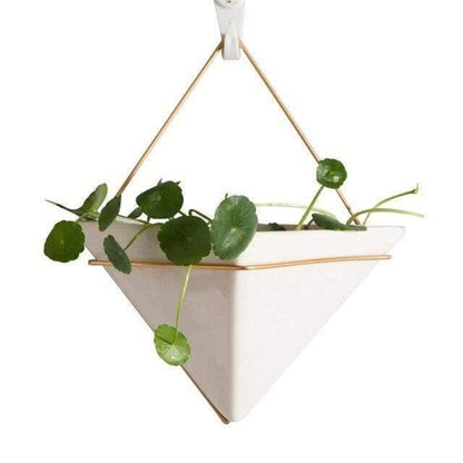 Hanging Geometric Terrarium